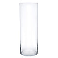Royal Imports Flower Glass Vase Decorative Centerpiece for Home or Wedding - Cylinder Shape (4" Wide x 14" Tall, Clear) - size: 4" wide x 14" tall
