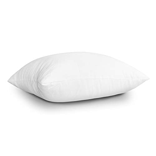 EDOW Throw Pillow Insert, Lightweight Soft Polyester Down Alternative Decorative Pillow, Sham Stuffer, Machine Washable. (White, 18x18)