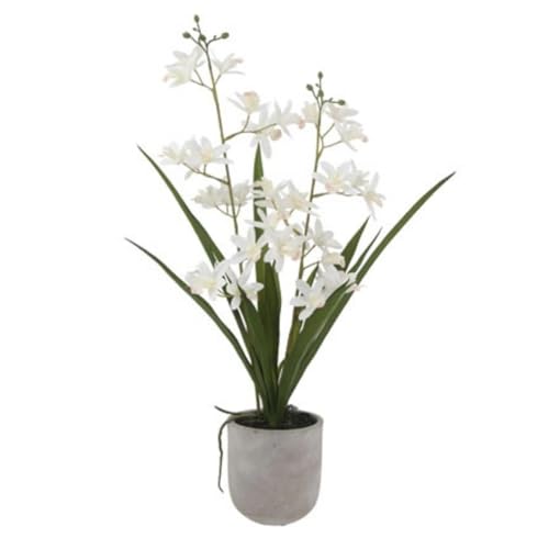 CG Hunter Faux Vanda Orchid Plant, Premium Artificial Indoor Flower Display Stands 20.5”, Beautiful Sculptural Blooms that Lasts Forever, White Planter Pot Included - size: 20.5" Vanda Orchid