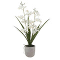 CG Hunter Faux Vanda Orchid Plant, Premium Artificial Indoor Flower Display Stands 20.5”, Beautiful Sculptural Blooms that Lasts Forever, White Planter Pot Included - size: 20.5" Vanda Orchid