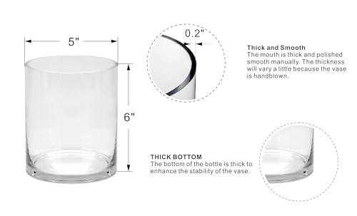Generic 5"" Wide 6"" High Large Hand Blown Sturdy Clear Cylinder Glass Vase, Centerpiece Flower Vase for Rose, Tulip, Boquets, Hurricane Candle Holder Sizes: 5"" Dia 6"" High (1, 5""x6"") - size: 5"x6"