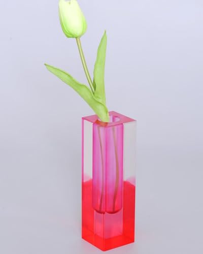 Acrylic Vase, Bud Vase for Centerpieces, Maximalist Decor Cute Flowers Vases for Modern Home, Office, Bedroom, Living Room, Dining Table (Pink, Purple) - color: Pink，purple