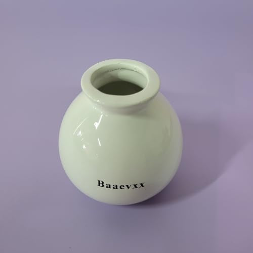 Baaevxx Flower Vases – Minimalist Design, Ideal for Home or Office Decoration