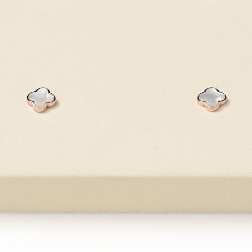 Oirlv Microfiber Jewelry Display Storage Tray Stud Earrings Tray Organizer Stud Earrings Jewelry Plate(Beige) - color: 2 Pairs Earrings P13417