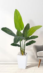 HAIHONG Bird of Paradise Artificial Plant 5FT, Faux Tropical Palm Tree with White Tall Planter, Large Fake Plants in Pot - Artificial Tree for Home Office Living Room Decor Indoor