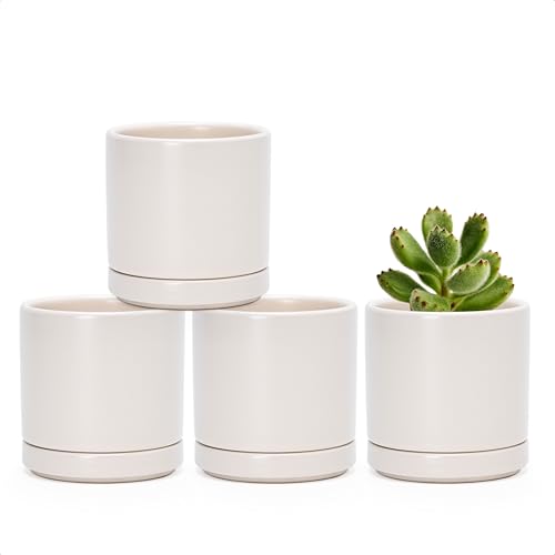 D'vine Dev Set of 4 Small Ceramic Plant Pots, 3.5 Inch Succulent Planter Pot for Plants with Drainage Hole and Saucer, Oatmeal, 94-X-A-8 - color: Oatmeal, size: 3.5 Inch