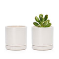 D'vine Dev Set of 2 Plants Pots, 3.5 Inch Ceramic Planter Pot for Plants with Drainage Hole and Saucer, Oatmeal, 94-V-A-8 - color: Oatmeal, size: 3.5 Inch