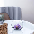 WGVI Clear Glass Tea Light Votive Candle Holder, Width 4", Height 3.15", Small Globe Bubble Bowl Round Vase, Tabletop Décor Container Terrarium, 1 Piece - size: Clear Bowl 3.15"H