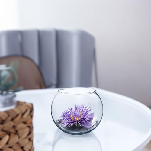WGVI Clear Glass Tea Light Votive Candle Holder, Width 4", Height 3.15", Small Globe Bubble Bowl Round Vase, Tabletop Décor Container Terrarium, 1 Piece - size: Clear Bowl 3.15"H