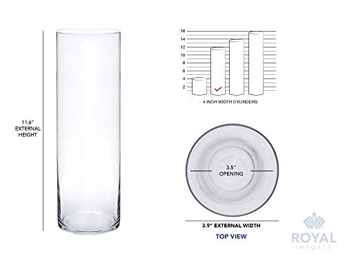Royal Imports Flower Glass Vase Decorative Centerpiece for Home or Wedding - Cylinder Shape (4" Wide x 12" Tall, Clear) - size: 4" wide x 12" tall