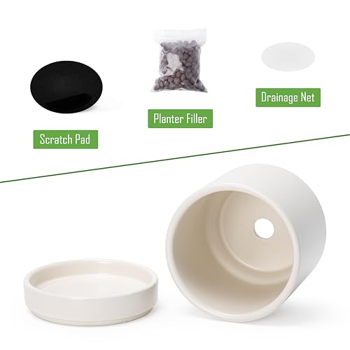D'vine Dev Set of 4 Small Ceramic Plant Pots, 3.5 Inch Succulent Planter Pot for Plants with Drainage Hole and Saucer, Oatmeal, 94-X-A-8 - color: Oatmeal, size: 3.5 Inch