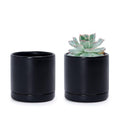 D'vine Dev Set of 2 Plants Pots, 3.5 Inch Ceramic Planter Pot for Plants with Drainage Hole and Saucer, Black, 94-V-A-2 - color: Black, size: 3.5 Inch