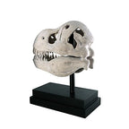 Design Toscano T-Rex Dinosaur Skull Fossil Statue on Museum Mount - style: T-Rex Dinosaur Skull
