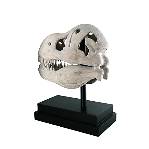 Design Toscano T-Rex Dinosaur Skull Fossil Statue on Museum Mount - style: T-Rex Dinosaur Skull