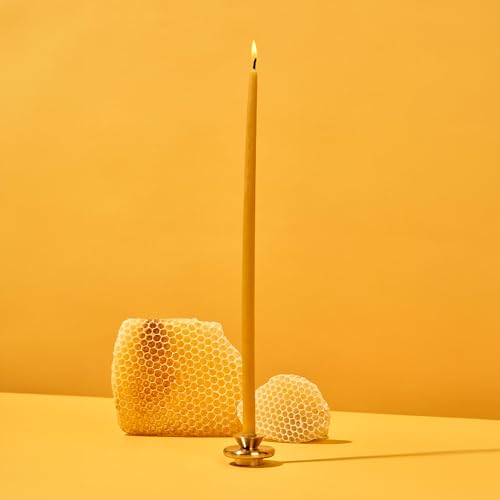 Brass Candle Holder XS: Elegant & Durable Solid Brass | Fits 3/8” Diameter Candles | Home Decor | Dimensions: 1.67” x 0.92”