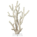 Deco 79 Polystone Coral Decorative Sculpture Home Decor Statue with Clear Acrylic Base, Accent Figurine 9" x 4" x 14", Cream - size: 9" x 4" x 14"