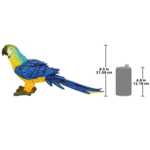 Design Toscano Mortimer the Macaw Tropical Parrot Statue - style: Mortimer The Macaw Tropical Parrot Statue