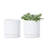 D'vine Dev Set of 2 Plants Pots, 3.5 Inch Ceramic Planter Pot for Plants with Drainage Hole and Saucer, White, 94-V-A-1 - color: White, size: 3.5 Inch