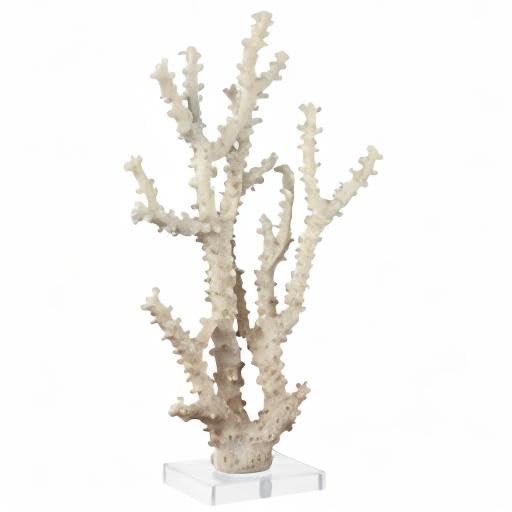 Deco 79 Polystone Coral Decorative Sculpture Home Decor Statue with Clear Acrylic Base, Accent Figurine 9" x 4" x 14", Cream - size: 9" x 4" x 14"
