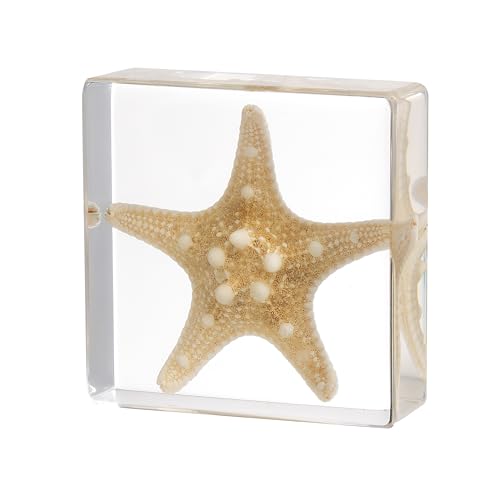 Taxidermy Starfish, Real Starfish Specimens Animal Specimen in Resin for Science Classroom Science Education, Great Gift for Fans of Taxidermy, Animal Skull, Oddities, Biology (3 x 3 x 1 inch) - color: Starfish
