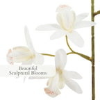CG Hunter Faux Vanda Orchid Plant, Premium Artificial Indoor Flower Display Stands 22.5”, Beautiful Sculptural Blooms that Lasts Forever, White Planter Pot Included - size: 22.5" Vanda Orchid