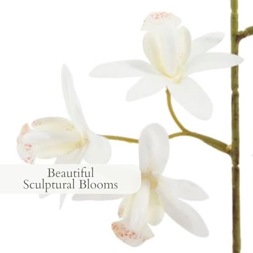 CG Hunter Faux Vanda Orchid Plant, Premium Artificial Indoor Flower Display Stands 22.5”, Beautiful Sculptural Blooms that Lasts Forever, White Planter Pot Included - size: 22.5" Vanda Orchid
