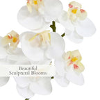 CG Hunter Faux White Orchid Plant, Premium Artificial Indoor Flower Display Stands 24”, Beautiful Sculptural Blooms That Lasts Forever, Grey Planter Pot Included - size: 24" White 2-Stem Orchid