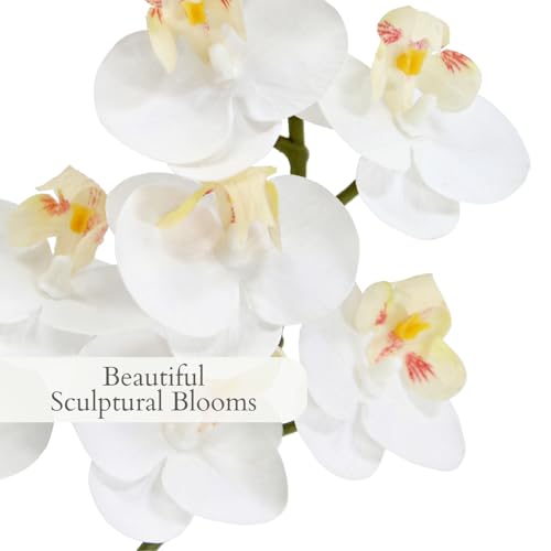 CG Hunter Faux White Orchid Plant, Premium Artificial Indoor Flower Display Stands 24”, Beautiful Sculptural Blooms That Lasts Forever, Grey Planter Pot Included - size: 24" White 2-Stem Orchid