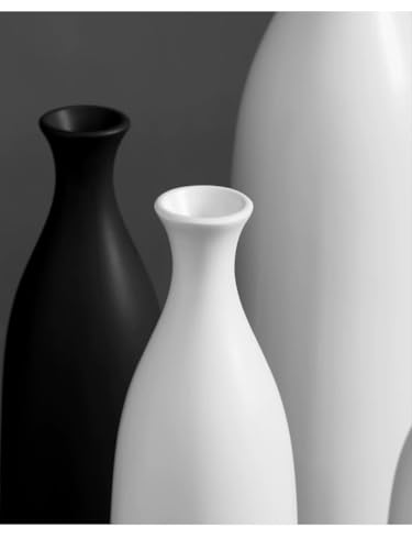 10 Inch Matte White Ceramic Vase, Minimalist Decorative Modern Vase for Pampas Grass, Table, Bookshelf, Mantel, and Entryway Home Decor - color: White, size: Small