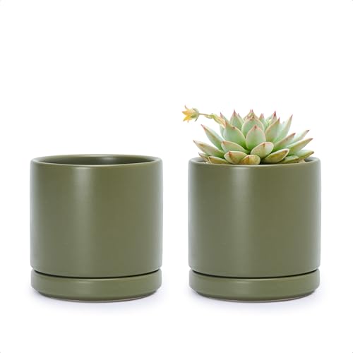 D'vine Dev Set of 2 Plants Pots, 3.5 Inch Ceramic Planter Pot for Plants with Drainage Hole and Saucer, Olive, 94-V-A-J - color: Olive, size: 3.5 Inch