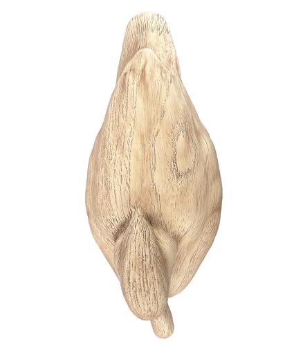 Hymmah Duck Home Decor Statue Rustic Home Decorations for Living Room, Boho Sculpture Resin Animal Collectible Figurines for Indoor Decor (Beige) - color: Beige