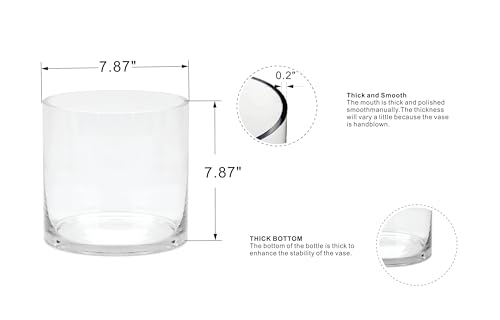 8" Wide 8" Tall Large Hand Blown Sturdy Clear Cylinder Glass Vase, Centerpiece Flower Vase for Rose, Tulip, Boquets, Hurricane Candle Holder (1, 8"x8") - size: 8"x8"