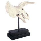 Design Toscano NE867039 Triceratops Dinosaur Skull Fossil Statue on Museum Mount,Multicolored - style: Triceratops Dinosaur Skull