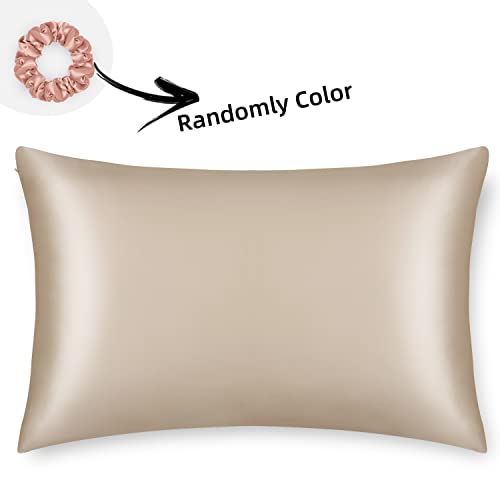 ALASKA BEAR Natural Silk Pillowcase, Hypoallergenic, 19 Momme, 600 Thread Count 100 Percent Mulberry Silk, Standard Size with Hidden Zipper (1,Champagne Gold) - color: Champagnegold, size: Standard 20''x26''