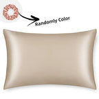 ALASKA BEAR Natural Silk Pillowcase, Hypoallergenic, 19 Momme, 600 Thread Count 100 Percent Mulberry Silk, Queen Size with Hidden Zipper (1,Champagne Gold) - color: Champagnegold, size: Queen 20''x30''