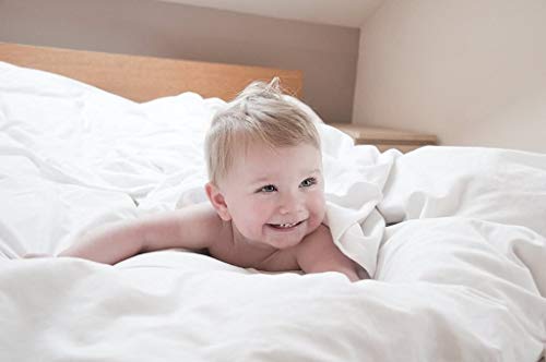 Italian 1500 Thread Count Heavy Soft Egyptian Cotton Sheet Set DEEP Pocket, Queen, Beige Solid, Premium Italian Finish (Features : Fully Elastic Fitted Sheet Fits 7-9" Pocket) - color: Beige ( Solid ), size: Queen Size (Fits 7-9 in Pockets)