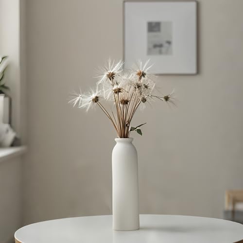 10.6 inches Tall Decorative Ceramic Vase Set, 3 Pieces, Nordic Modern Boho Style, White, for Home Decor (White) - color: White