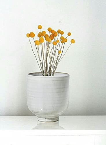 Serene Spaces Living Small Glazed Ceramic Pedestal Bowl, Set of 2- Centerpiece for Vintage Weddings, Events, Measures 4.25" Tall and 4" Diameter - color: 4" Pedestal Bowl, 2 Pcs