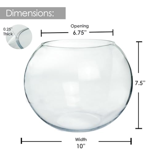 Craft And Party, Glass Bubble Vase, 8" Height x 10" Width Glass Fish Bowl, Bubble Bowl for Terrarium, Flower Centerpiece - size: Bubble Bowl : 7.8"H x 10"W