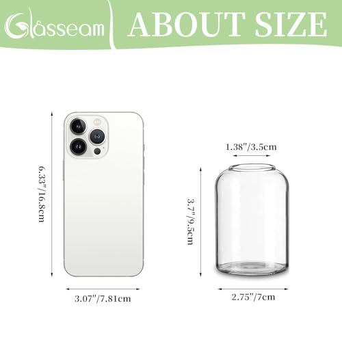Glasseam Glass Bud Vases for Centerpieces: Clear Small Flower Vase Decor Bulk Set of 12 Simple Modern Decorative Vases for Flowers Mini Candle Vase Wedding Centerpiece for Dining Table Decorations