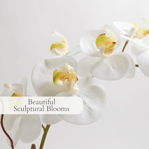 CG Hunter Faux White Orchid Plant, Premium Artificial Indoor Flower Display Stands 25-Inches with Beautiful Sculptural Blooms and Foliage That Lasts Forever, Grey Planter Pot Included - size: 25" White Double Stem