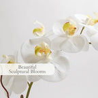 CG Hunter Faux White Orchid Plant, Premium Artificial Indoor Flower Display Stands 25-Inches with Beautiful Sculptural Blooms and Foliage That Lasts Forever, Grey Planter Pot Included - size: 25" White Double Stem