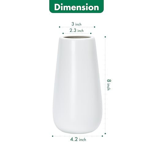 D'vine Dev 8 Inch White Elegant Oval Ceramic Vase for Flowers, Home Décor Vase with Design Box, VS-LD-A-4 - color: White, size: 8 Inch