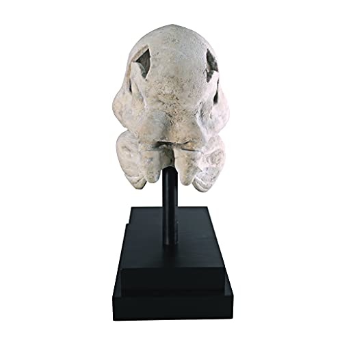 Design Toscano T-Rex Dinosaur Skull Fossil Statue on Museum Mount - style: T-Rex Dinosaur Skull