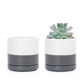 D'vine Dev Set of 2 Plants Pots, 3.5 Inch Ceramic Planter Pot for Plants with Drainage Hole and Saucer, White/Speckled Grey, 94-V-A-6 - color: White/Speckled Grey, size: 3.5 Inch
