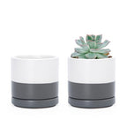 D'vine Dev Set of 2 Plants Pots, 3.5 Inch Ceramic Planter Pot for Plants with Drainage Hole and Saucer, White/Speckled Grey, 94-V-A-6 - color: White/Speckled Grey, size: 3.5 Inch