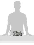 Design Toscano Butch the Bulldog Gutter Guardian Downspout Statue - style: Butch the Bulldog