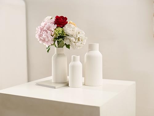 Bohemian White Ceramic Vase - for Pampas Grass, Mantel, Bookshelf, Entryway and Living Room Decor (White, Set of 3) - color: White, size: Set of 3