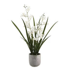 CG Hunter Faux Vanda Orchid Plant, Premium Artificial Indoor Flower Display Stands 22.5”, Beautiful Sculptural Blooms that Lasts Forever, White Planter Pot Included - size: 22.5" Vanda Orchid