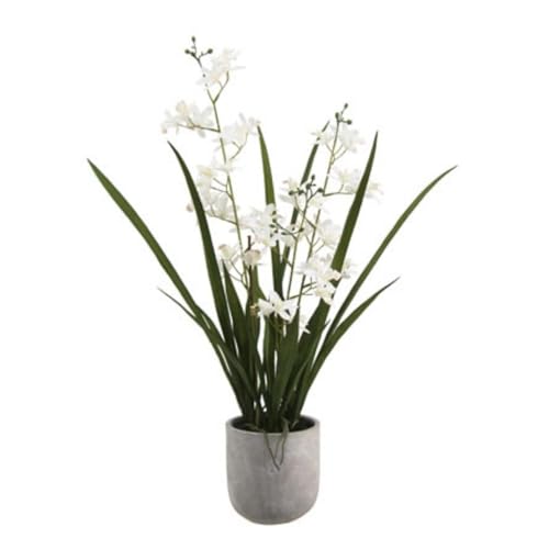 CG Hunter Faux Vanda Orchid Plant, Premium Artificial Indoor Flower Display Stands 22.5”, Beautiful Sculptural Blooms that Lasts Forever, White Planter Pot Included - size: 22.5" Vanda Orchid